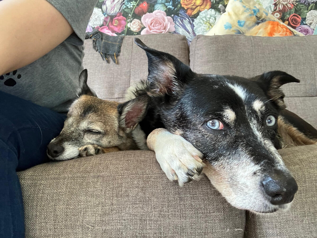 Tilly and Tess