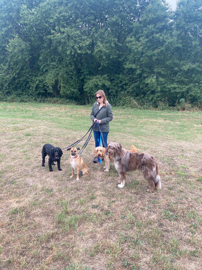 Jagger, Summer, Enzo & Storm