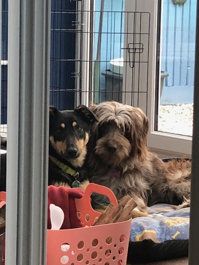 Rio and Storm