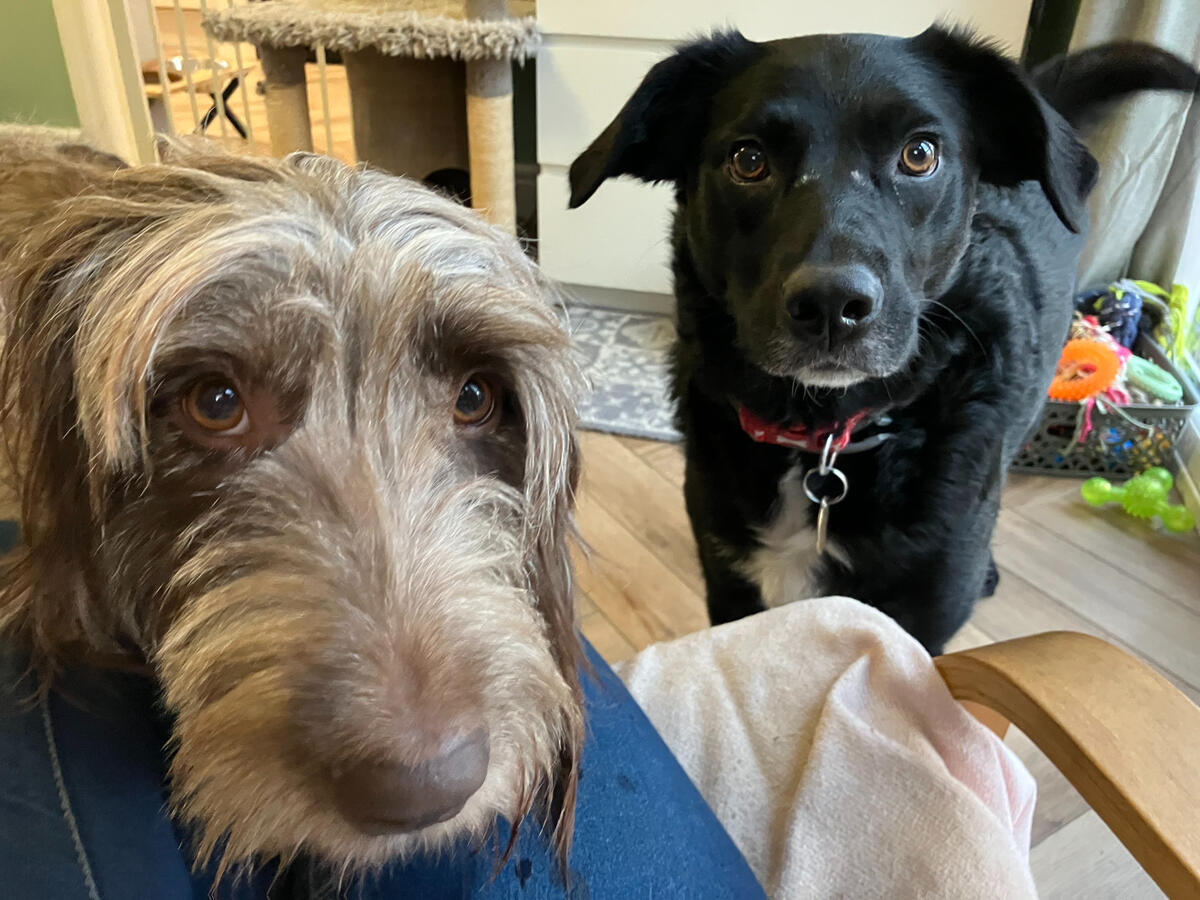 Storm and Stan