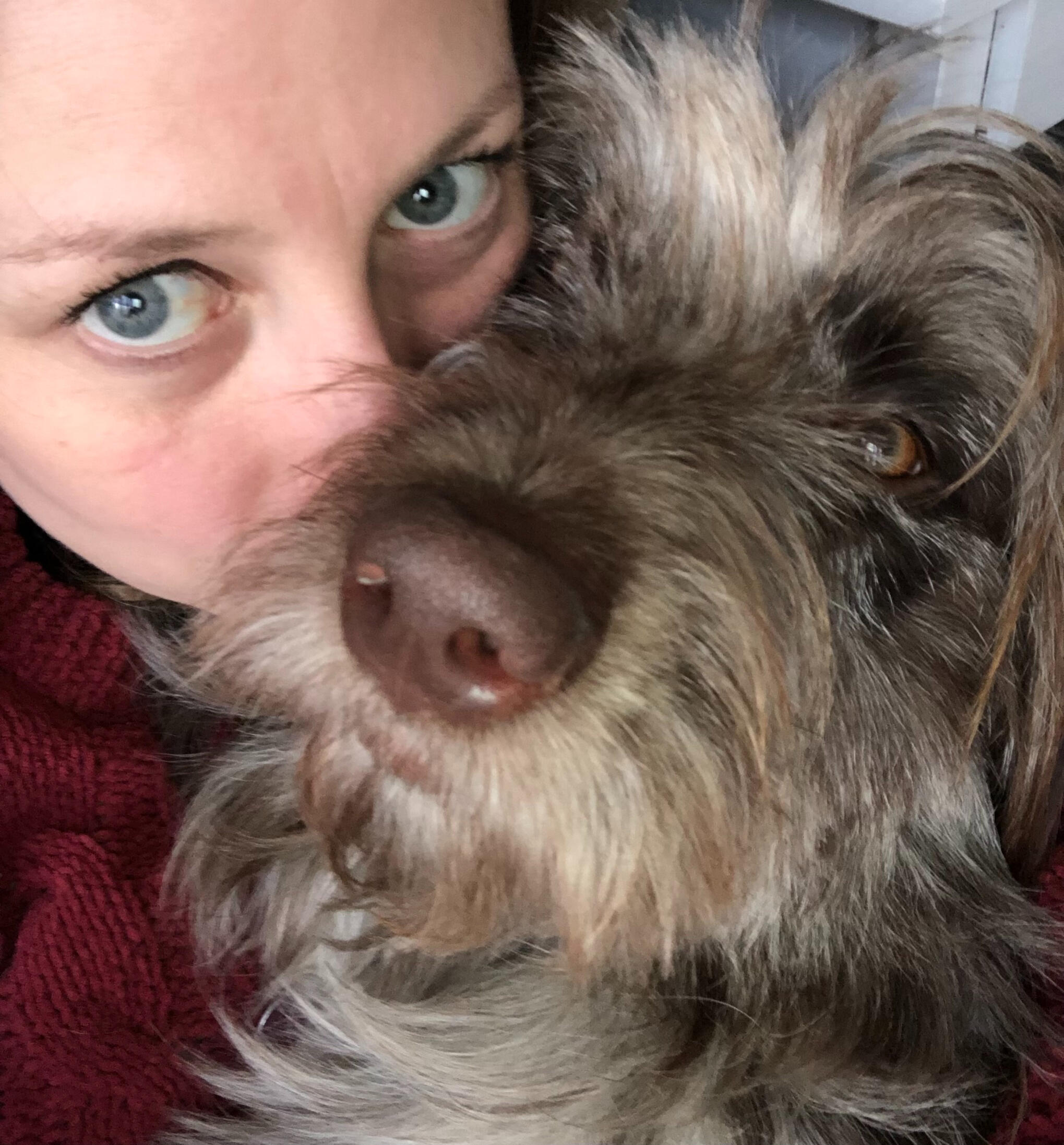 Charlotte and Storm | Paws in Comfort Home Boarding Southampton